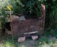 Descubren dos trampas ilegales en un coto de caza de Burgos